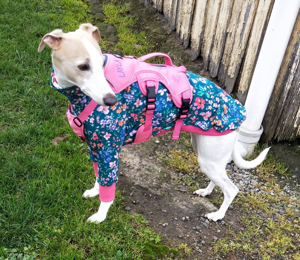 Posey Whippet Long Sleeve Tweater
