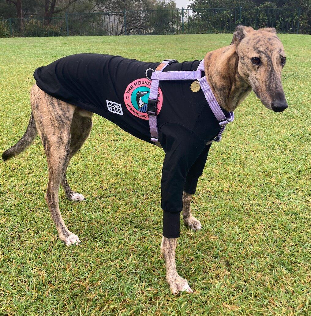 The Hound Club Hound-Tee