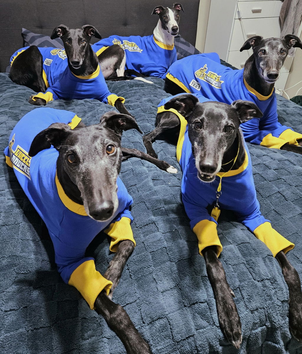 houndtees