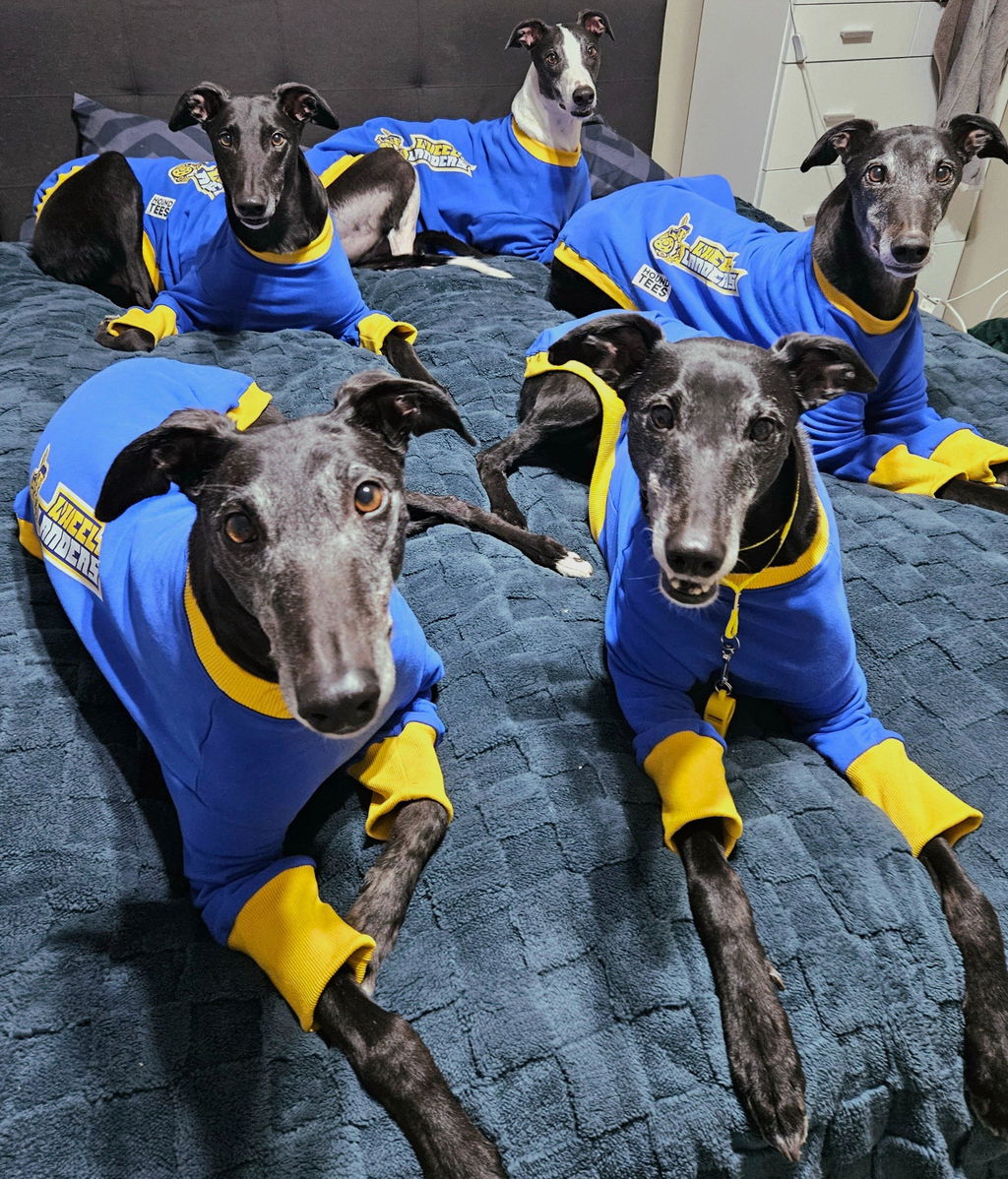 Margarita Greyhound Sweater