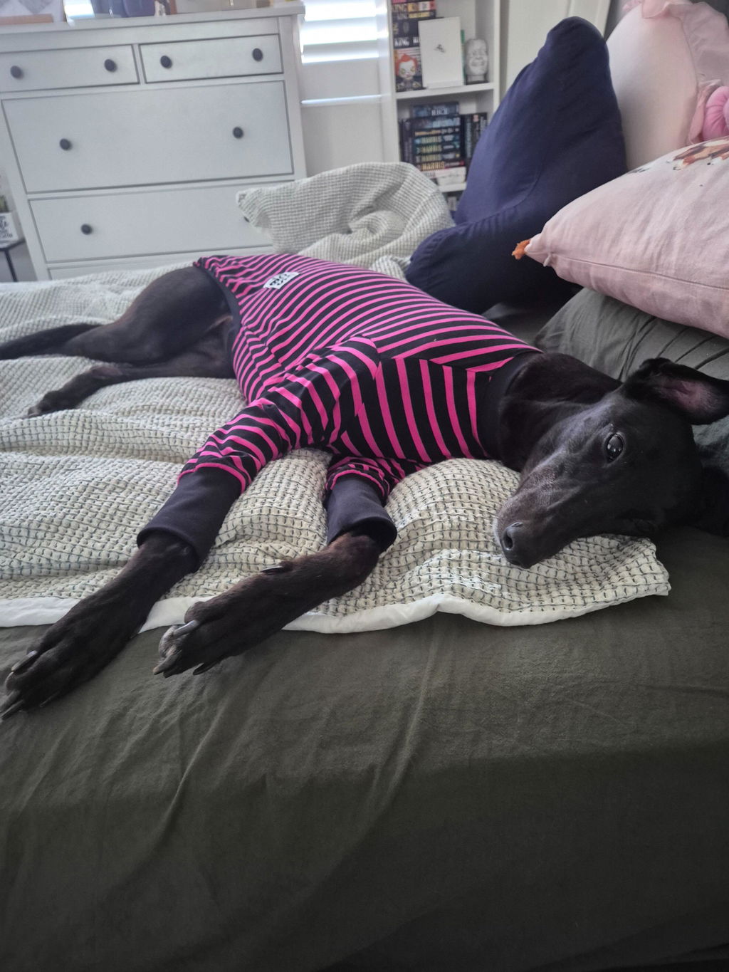 Sk8er Hound Greyhound Long Sleeve Hound-Tee