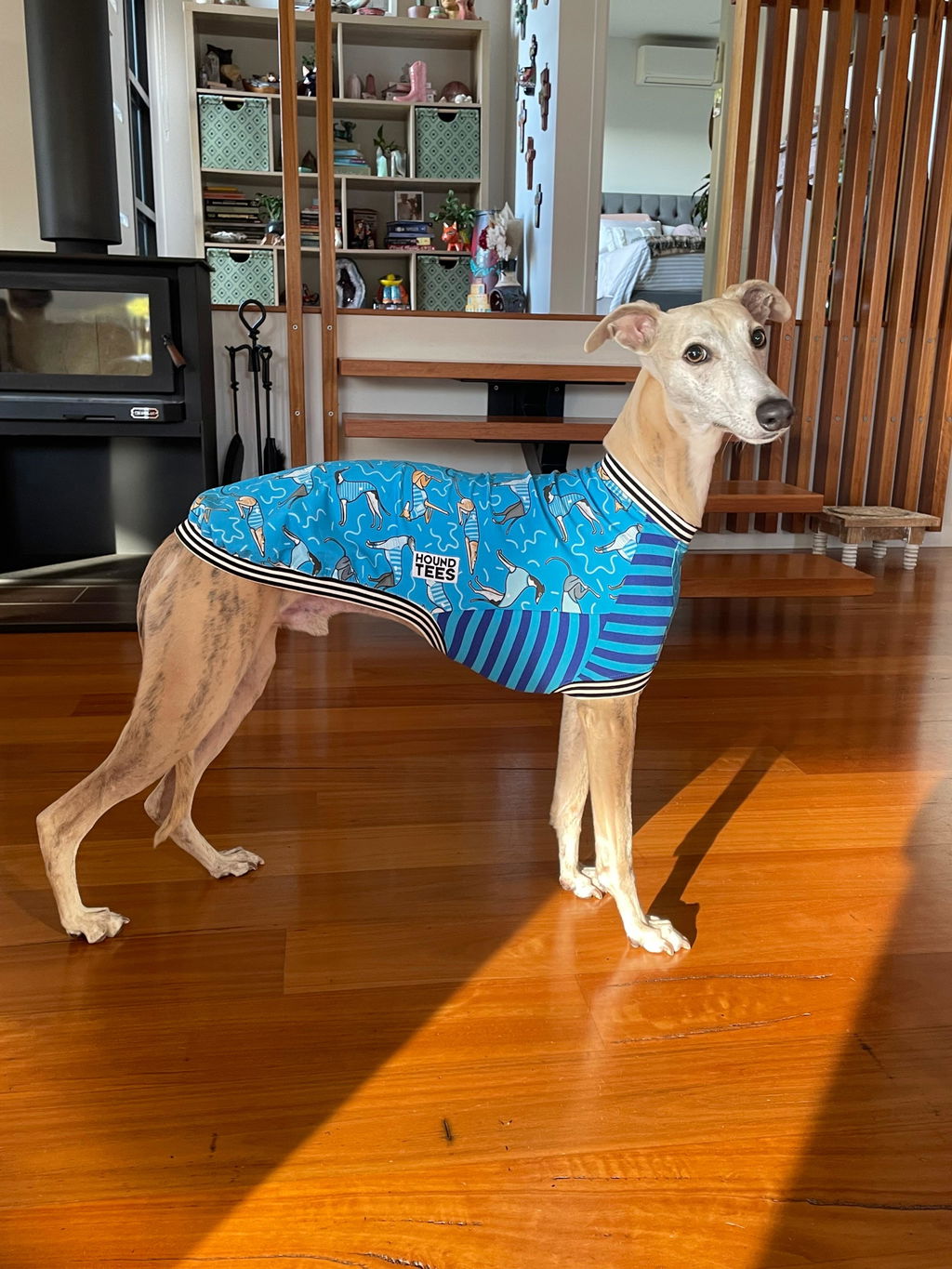 Dolly's Tee Blue Whippet Sleeveless Hound-Tee