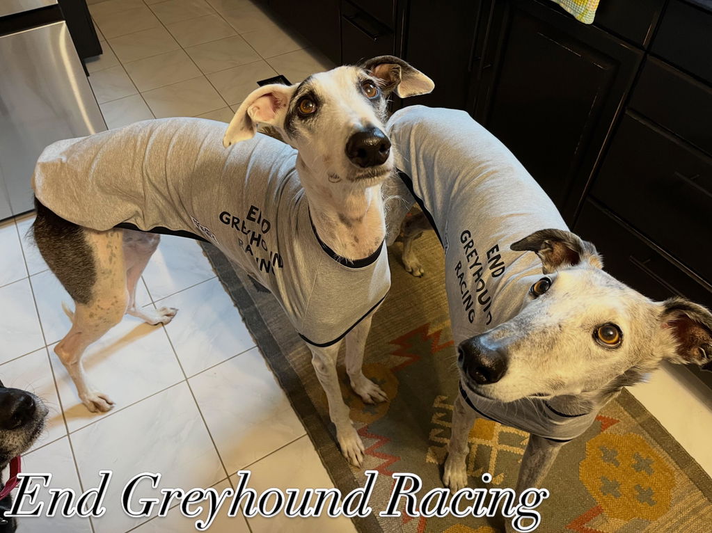 houndtees