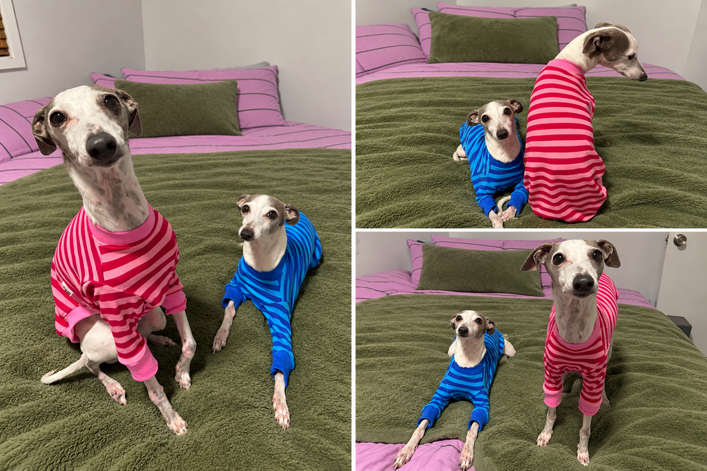 houndtees