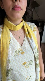Praveena review photo