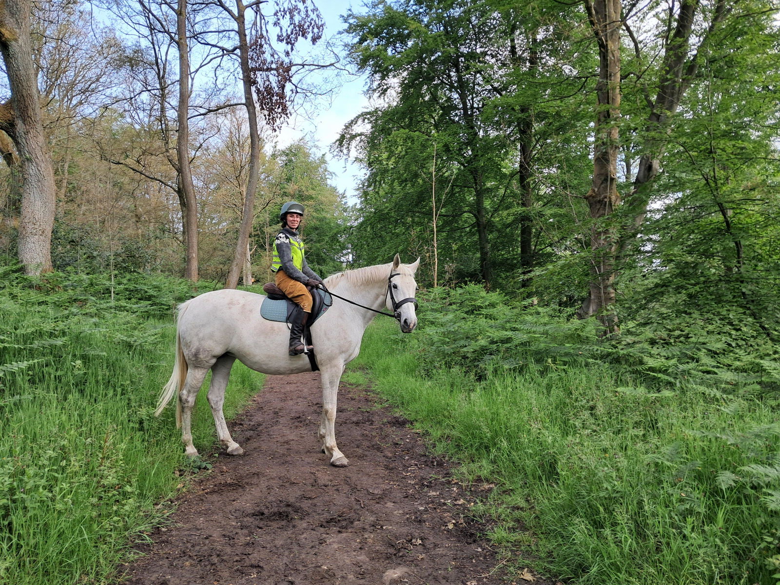 Landgirl Breeches - Deep Olive Corduroy | The House of Foxy