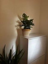 Debra M. review photo