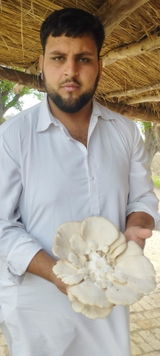 SHAHID TAREEN review photo