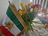 Ehsan Chamsorak review photo
