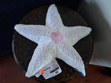 dominicpadawan review photo
