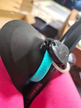 Brenda review photo
