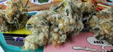 Greenbloodpopulation review photo