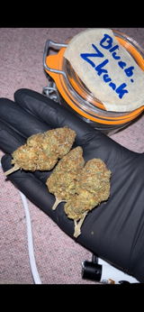 TerpSpecialist review photo