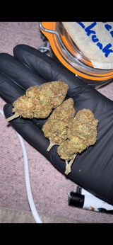 TerpSpecialist review photo