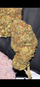 TerpSpecialist review photo