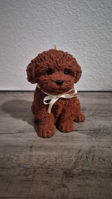 M. review photo