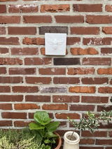 Debra Benre review photo