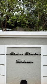 Shahin S. review photo