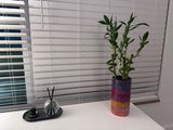 Filomena review photo