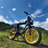 Megan L. review photo