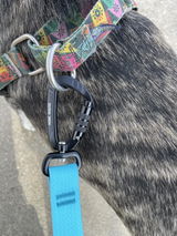 Hands-Free Leash