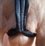 Colter review photo