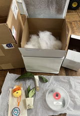 Josie S. review photo