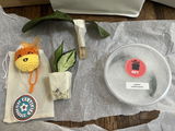 Josie S. review photo
