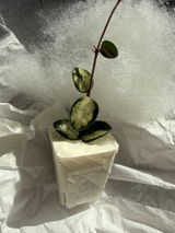 Keren A. review photo