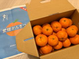 匿名 review photo