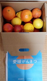 匿名 review photo