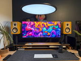 Vincent review photo