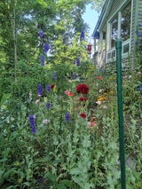 Kristy L. review photo