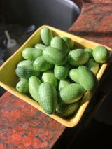 '@perennialtherapy .. review photo