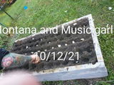 Lisa B. review photo