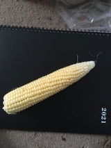S H. review photo