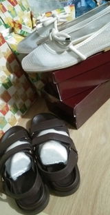ZL review photo