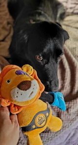 Linda review photo