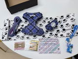 Anna review photo