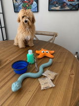 Kubi review photo