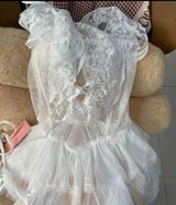 fanny review photo