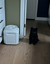 rara review photo