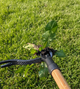 Treeman2114 review photo