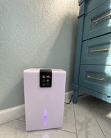 lazyapple30 review photo