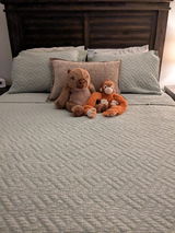 Carrol review photo