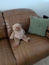 Carrol review photo