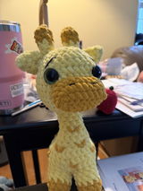 Gina D. review photo