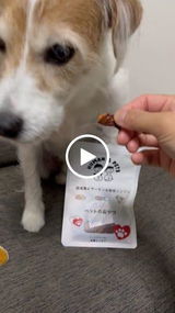 清美 高. review photo