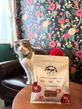 わさび 佐々木 review photo