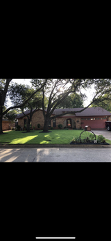 Debra F. review photo